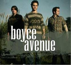 Boyce Avenue : Boyce Avenue